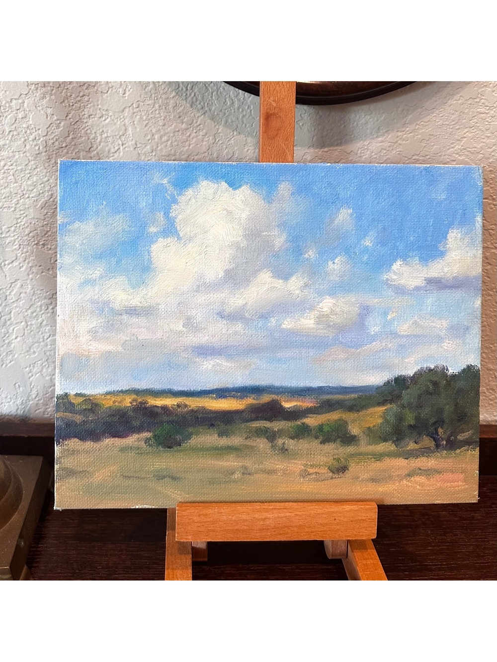 Oil Plein Air Painting Landscape 8x10 Unsigned Pastoral Cloudscape Peaceful